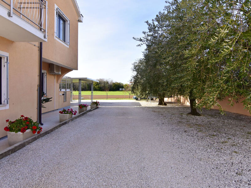 Enea 1
