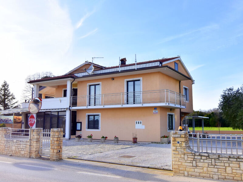 Enea 1