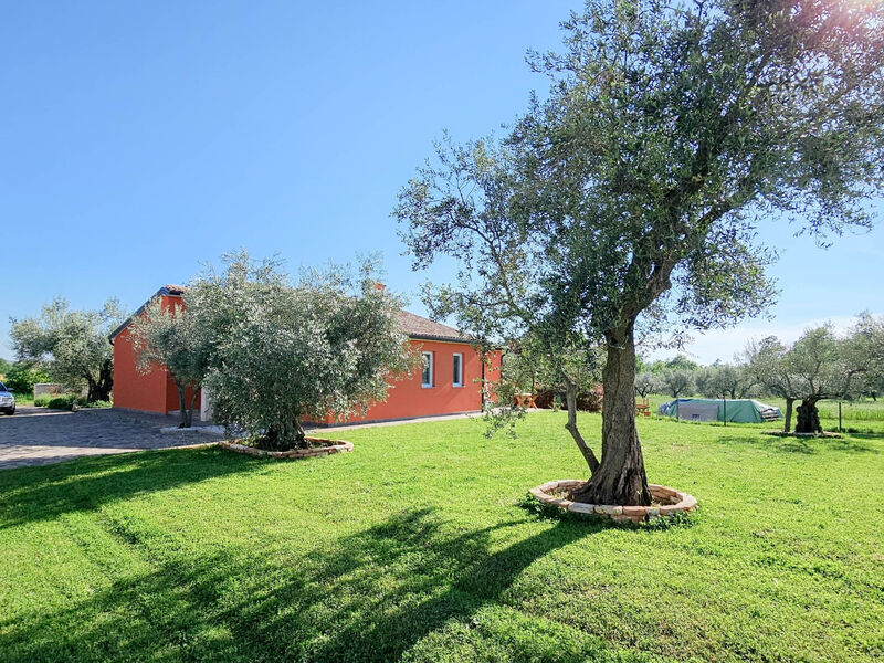 Casa Gojtan