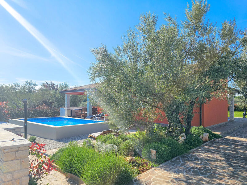 Casa Gojtan