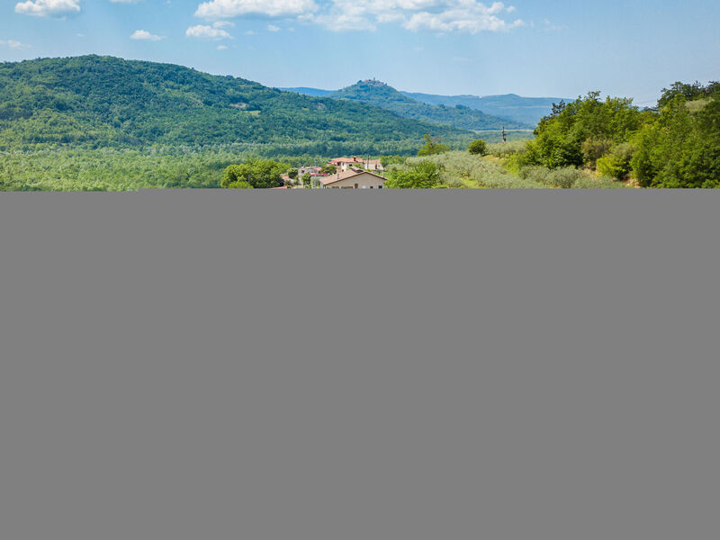 Panorama del Tartufo