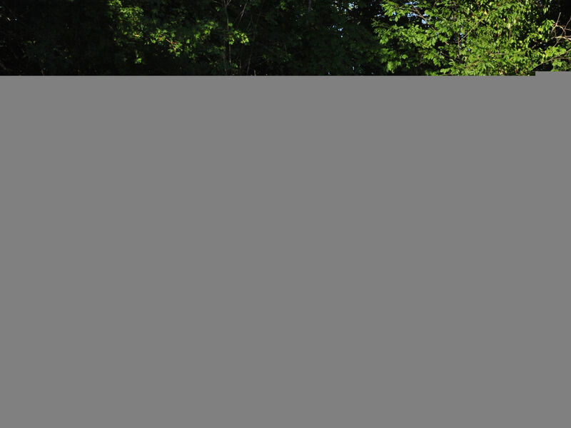 Istrien Traditionelles Steinhaus 6