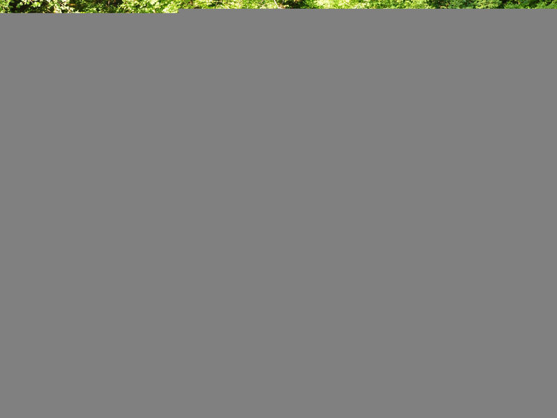 Istrien Traditionelles Steinhaus 6