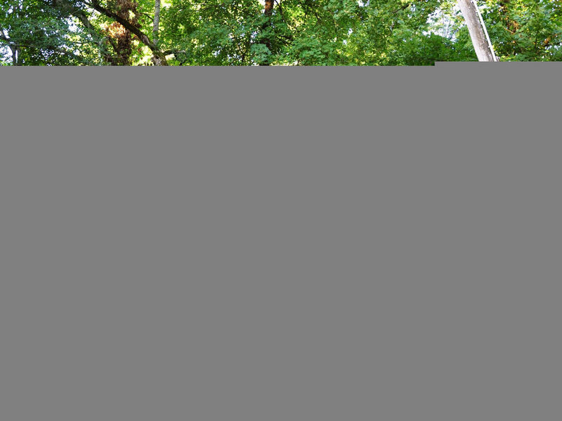 Istrien Traditionelles Steinhaus 7