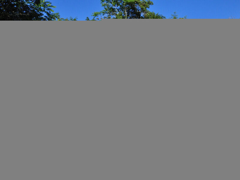 Istrien Traditionelles Steinhaus 5