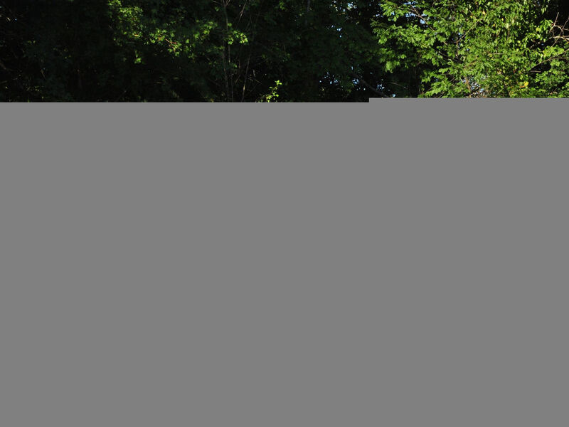 Istrien Traditionelles Steinhaus 5