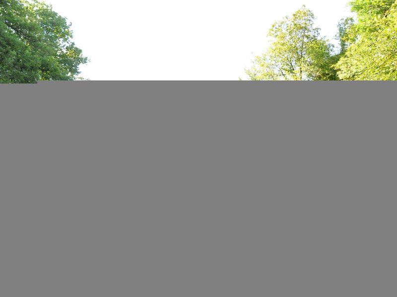 Istrien Traditionelles Steinhaus 5