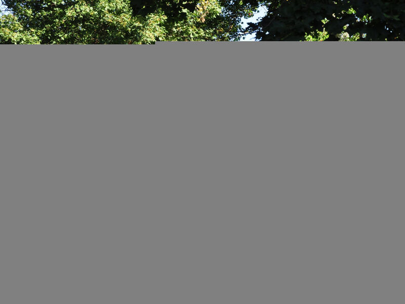 Istrien Traditionelles Steinhaus 4