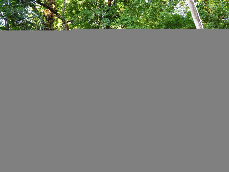 Istrien Traditionelles Steinhaus 4