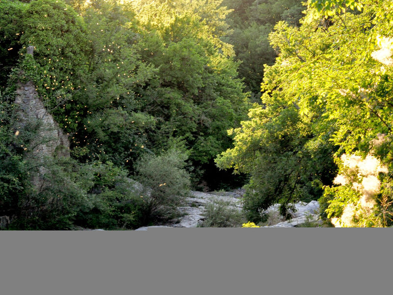 Istrien Traditionelles Steinhaus 4