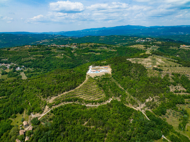 Vila Bella