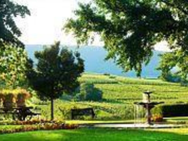 Chateau d'Isenbourg
