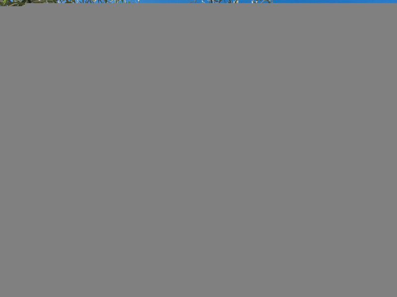 Residence Paradiso 4