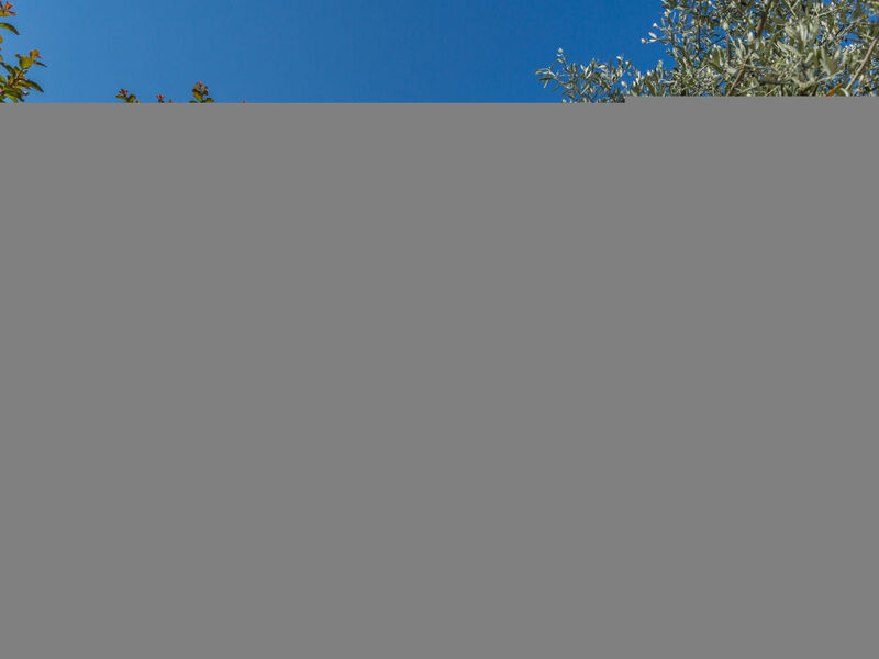 Residence Paradiso 4