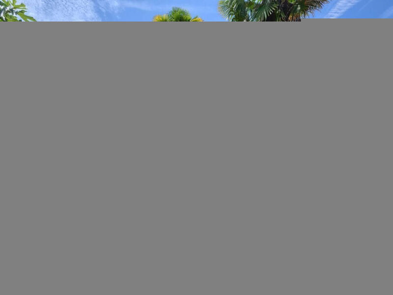 Residence Paradiso 2