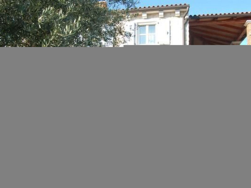 Vila Maslinova Grana