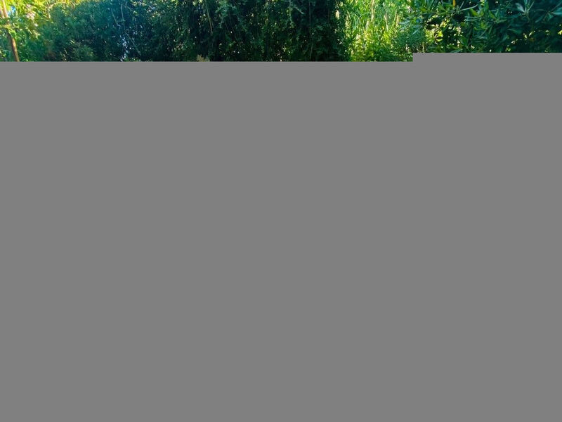 Wohnung zwischen Meer, Kultur und Natur