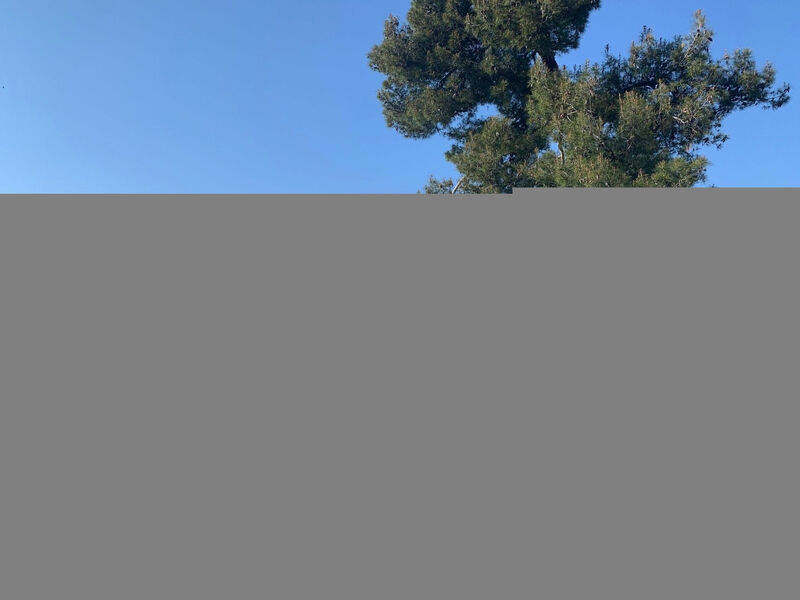 Summer escape Rovinj