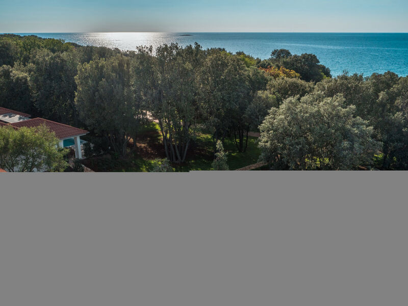 Luxury Beach Villas Porto Bus