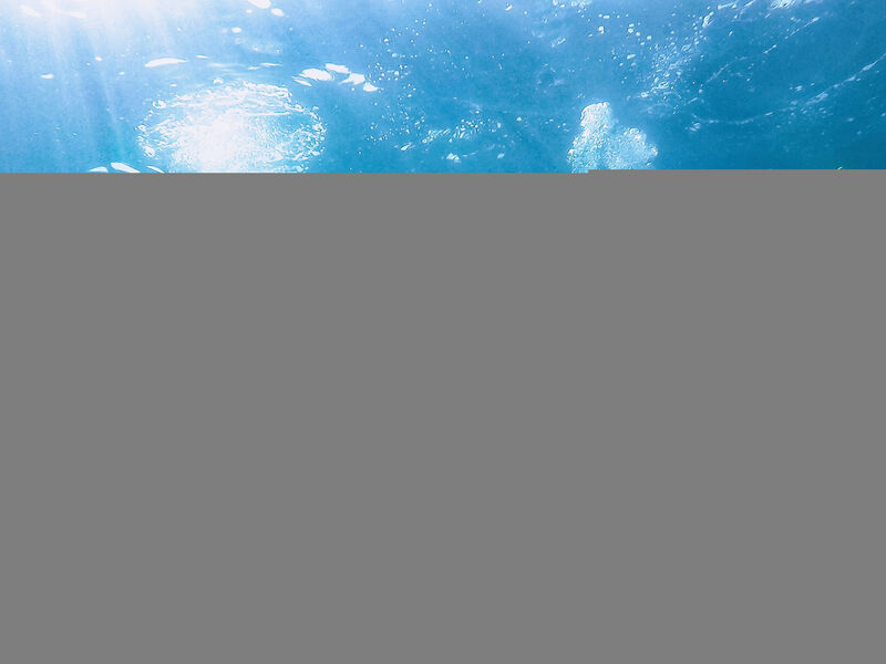 Luxury Beach Villas Porto Bus