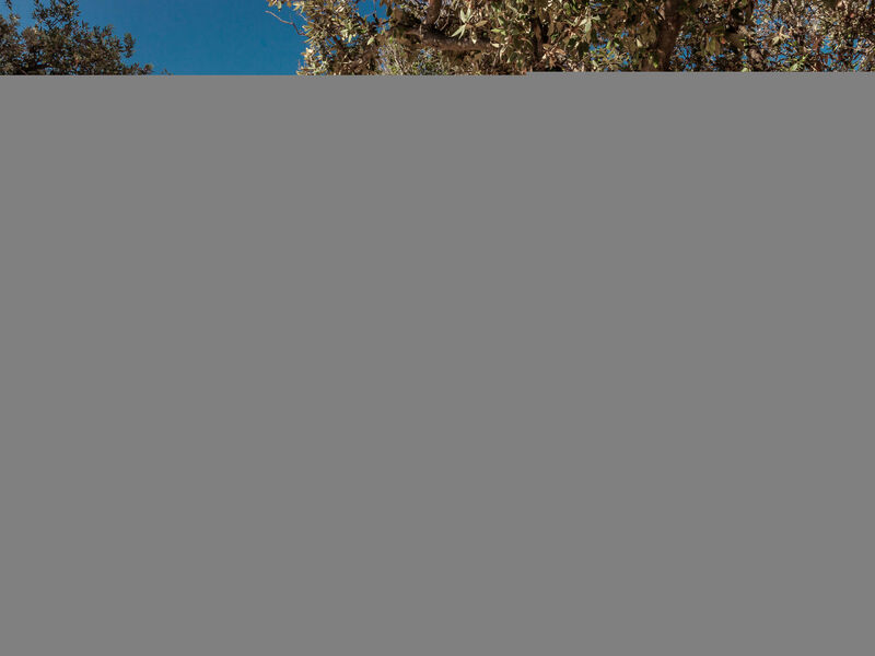 Luxury Beach Villas Porto Bus