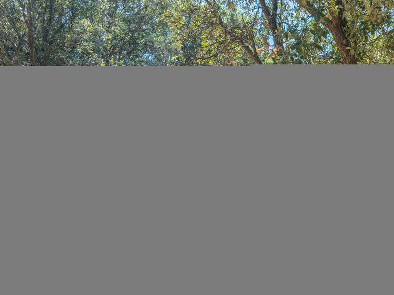 Luxury Beach Villas Porto Bus