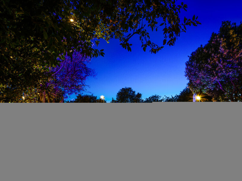 Luxury Beach Villas Porto Bus