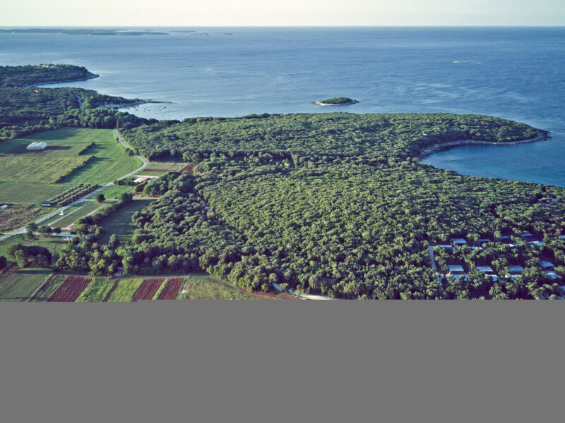 Luxury Beach Villas Porto Bus