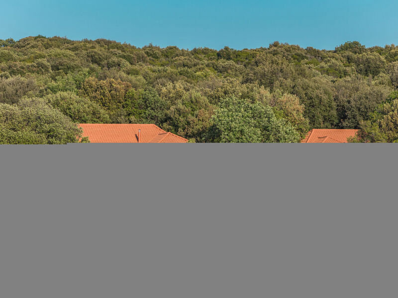 Luxury Beachfront Villa Porto Bus