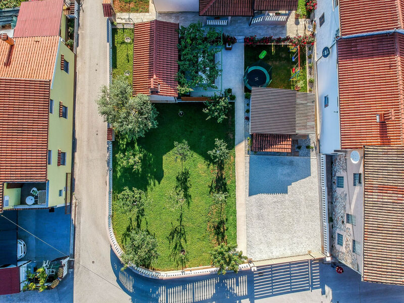 Sunčica