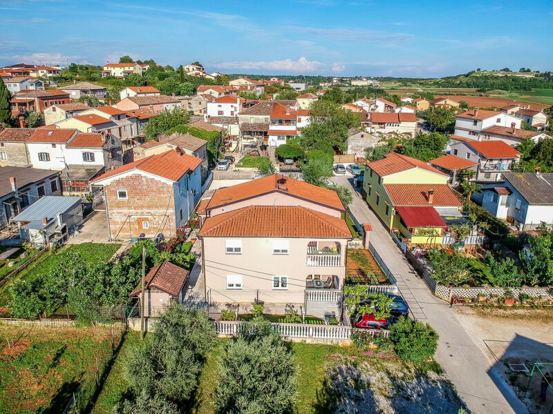 Sunčica