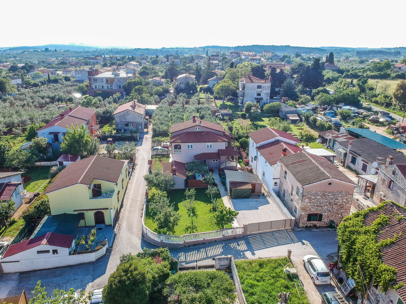 Sunčica