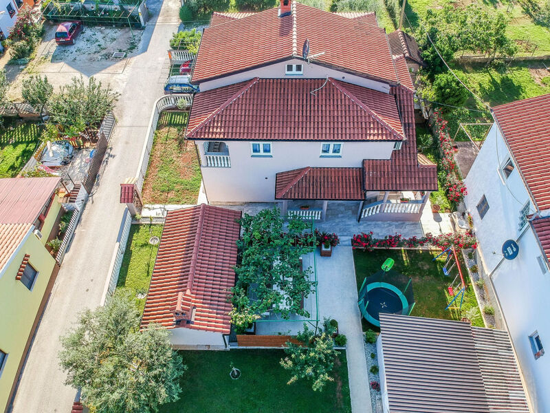 Sunčica