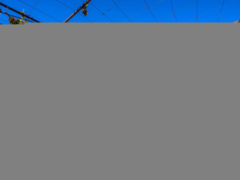 Ruhig gelegene Ferienwohnung 7