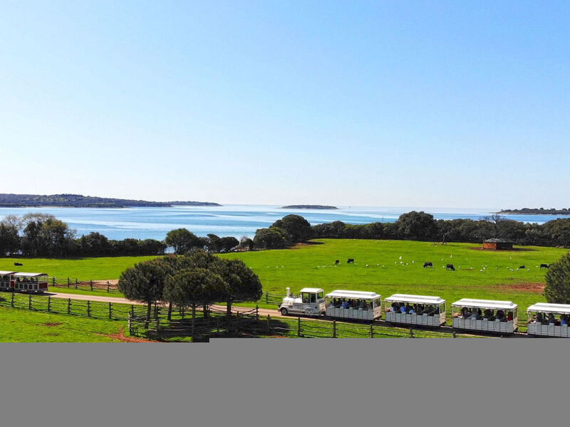 Gemütliche Ferienwohnung 5