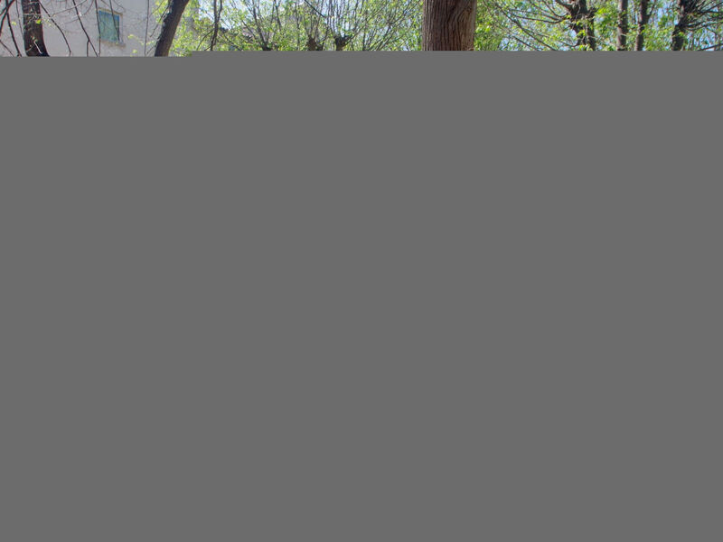 nahe Pula Zentrum, Marija