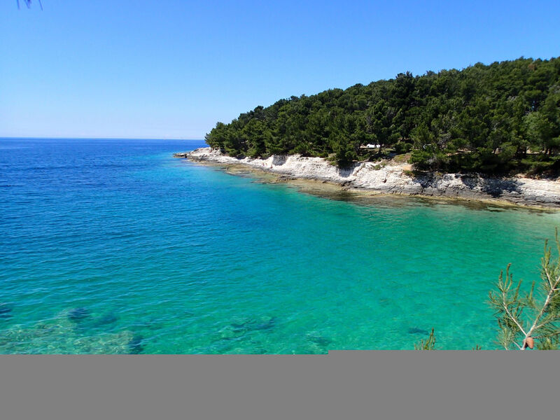 Gemütliches Studio-Apartment