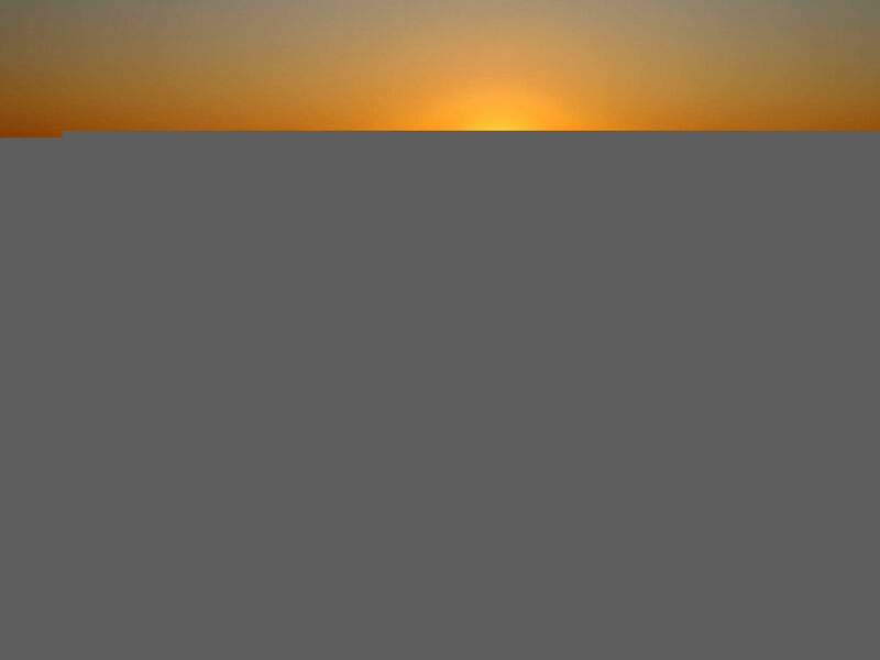 Gemütliches Studio-Apartment