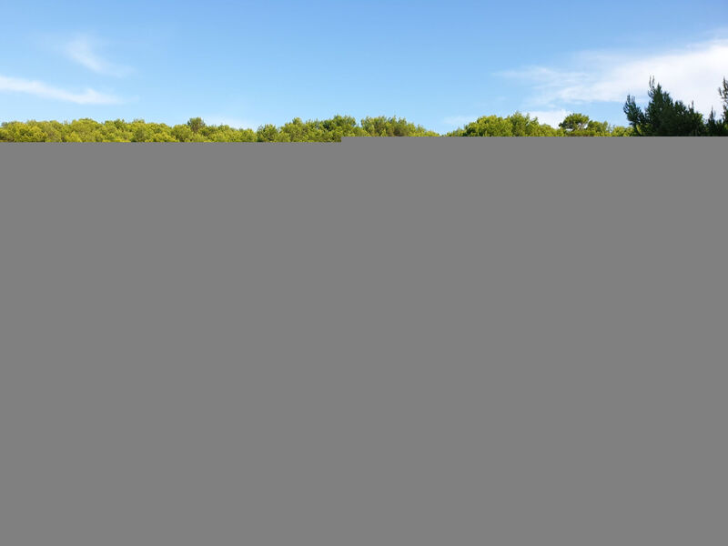 Gemütliches Studio-Apartment