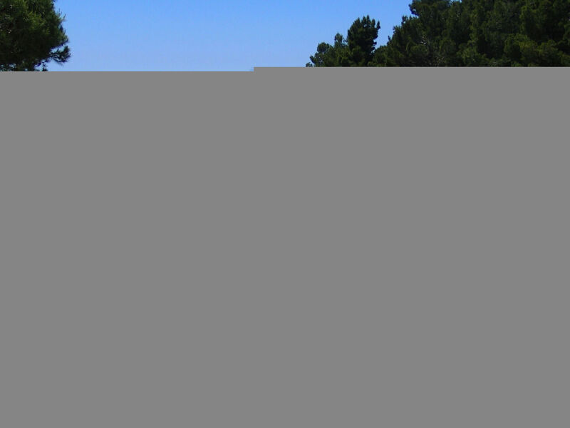 Gemütliches Studio-Apartment