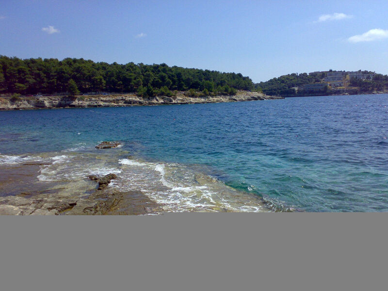 Gemütliches Studio-Apartment