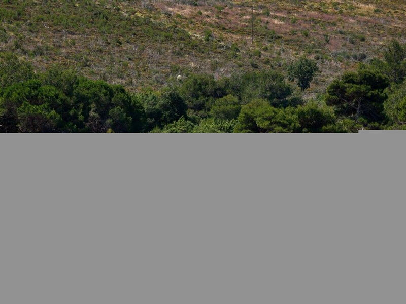 Beach House BET, romantisches Refugium im Olivenhain