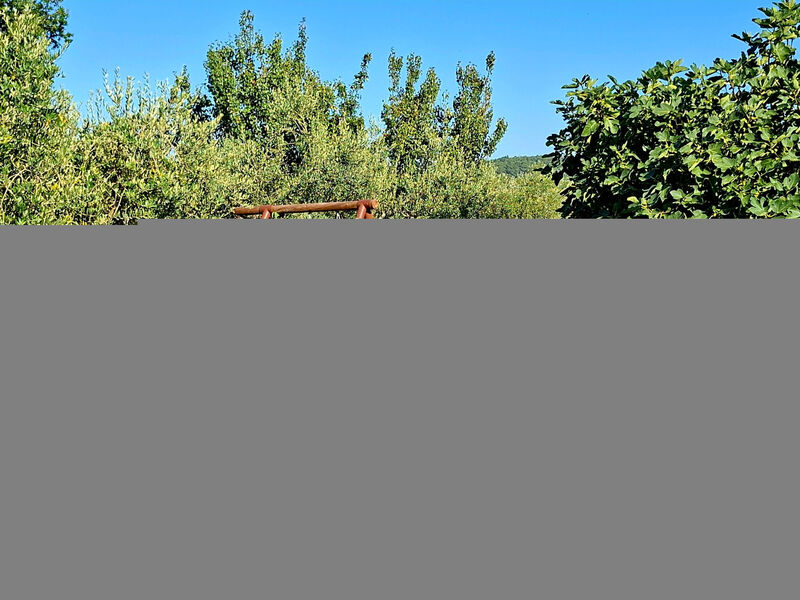 Beach House BET, romantisches Refugium im Olivenhain