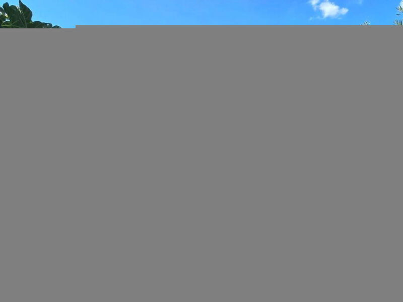 Beach House BET, romantisches Refugium im Olivenhain