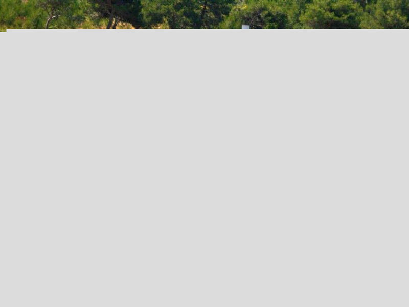 Beach House BET, romantisches Refugium im Olivenhain