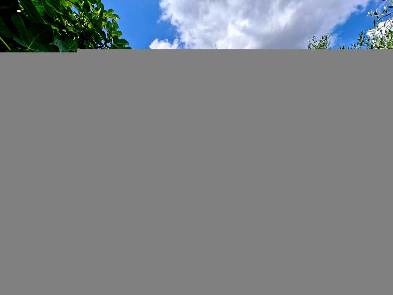 Beach House BET, romantisches Refugium im Olivenhain