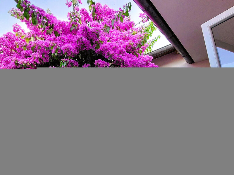 Zora - Rückzugsort für Familien