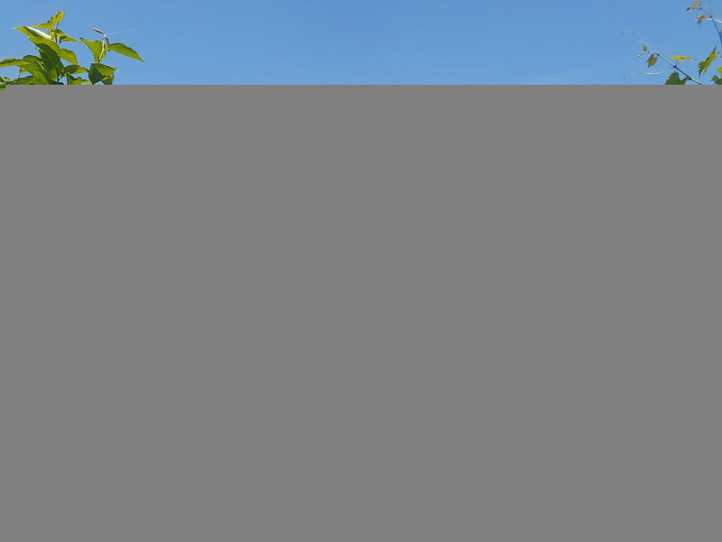 Attraktiver Standort