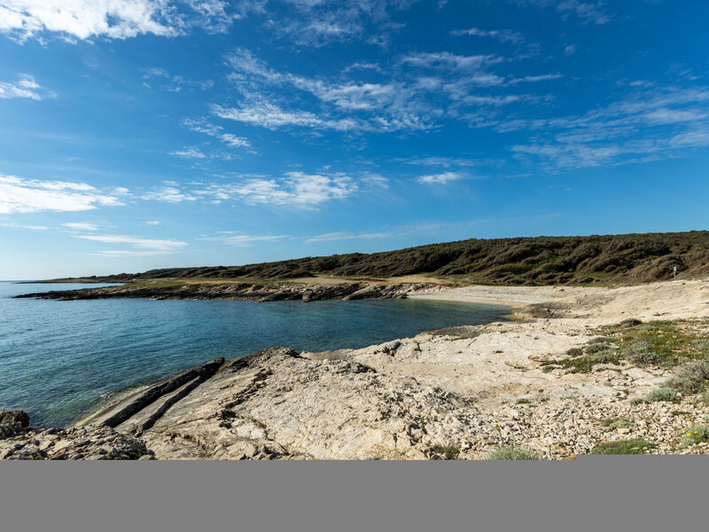 Ferienhaus, privater Pool, Dorf Šišan