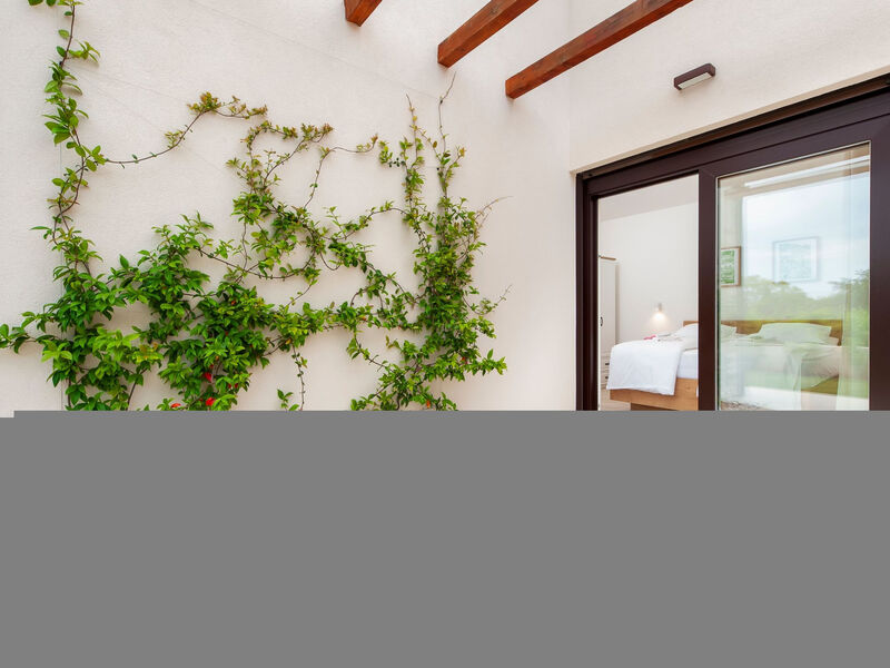 Echo villa, Istra, Pool Jacuzzi, BBQ, Haustierfreundlich